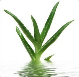 Lovely Lovers Aloe Vera Lube 150 ml Lovely Lovers Aloe Vera Lube 150 ml