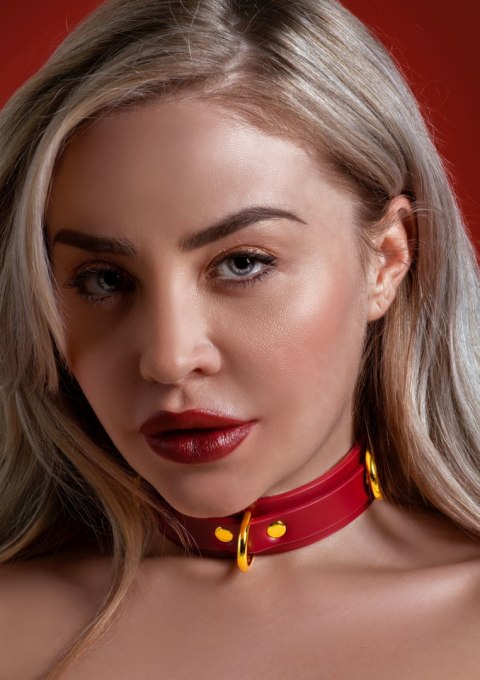 Wegańska skórzana obroża Taboom D-Ring Collar Deluxe Wegańska skórzana obroża Taboom D-Ring Collar Deluxe
