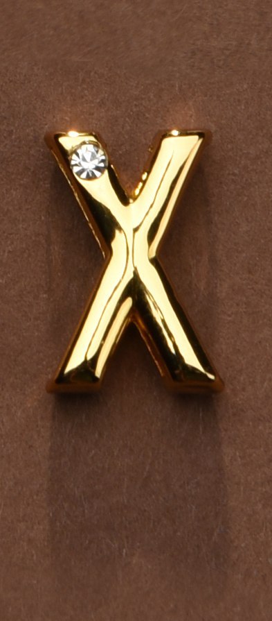 Litera do personalizacji obróżki lub kajdanek Upko Letter X Litera do personalizacji obróżki lub kajdanek Upko Letter X