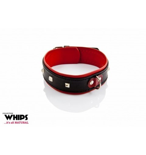 Whips Obroża damska 4 cm Whips Obroża damska 4 cm