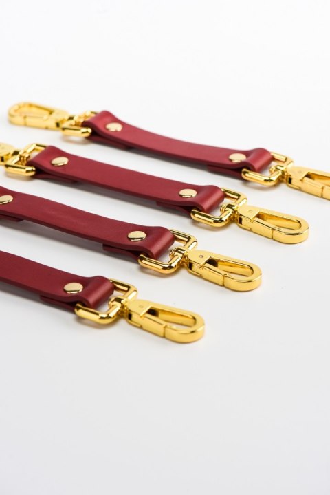 Zestaw czerwonych skórzanych akcesoriów Upko Leather Kinky Tools Set Red