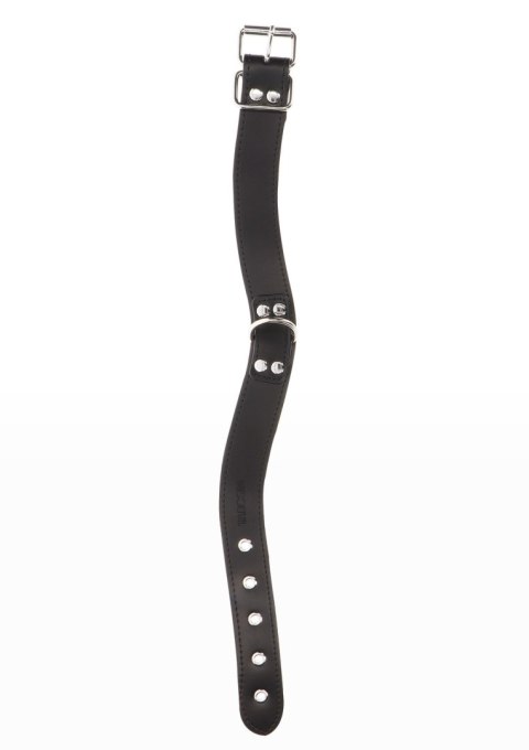 Czarna obroża z ekoskóry Taboom Elegant D-Ring Collar Black Czarna obroża z ekoskóry Taboom Elegant D-Ring Collar Black
