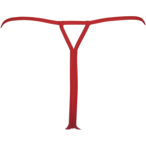 Axami Stringi V-9808 L Axami Stringi V-9808 L