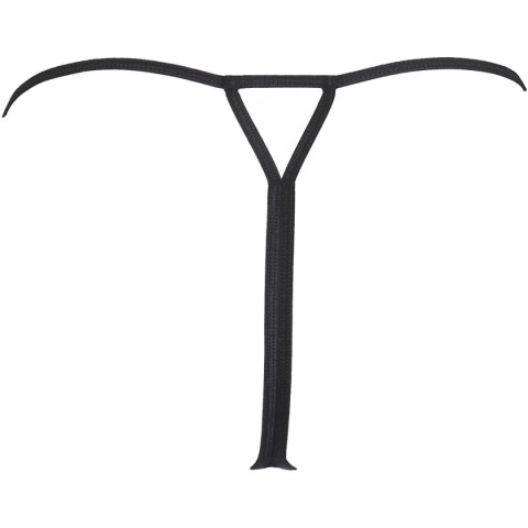 Axami Stringi V-9818 M Axami Stringi V-9818 M