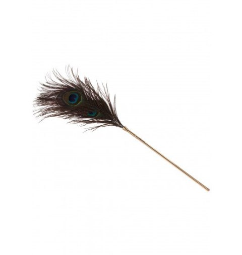 Taboom Dona Peacock Tickler Taboom Dona Peacock Tickler