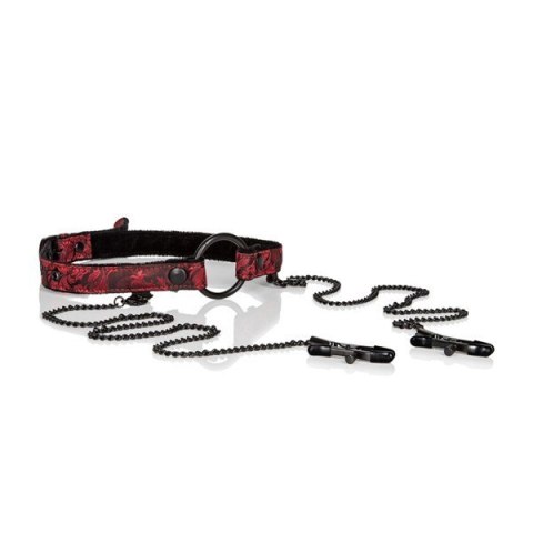 SCANDAL OPEN MOUTH GAG WITH CLAMPS SCANDAL OPEN MOUTH GAG WITH CLAMPS