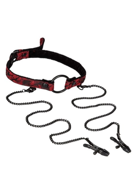 SCANDAL OPEN MOUTH GAG WITH CLAMPS SCANDAL OPEN MOUTH GAG WITH CLAMPS