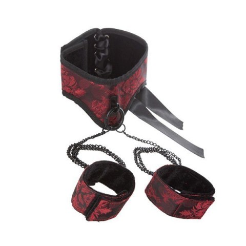 SCANDAL POSTURE COLLAR WITH CUFFS SCANDAL POSTURE COLLAR WITH CUFFS