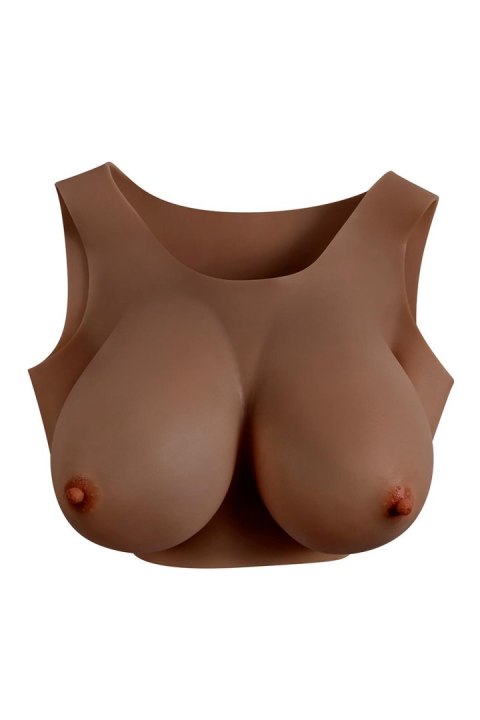 GENDER X UNDERGARMENTS - PLATE E-CUP DARK GENDER X UNDERGARMENTS - PLATE E-CUP DARK