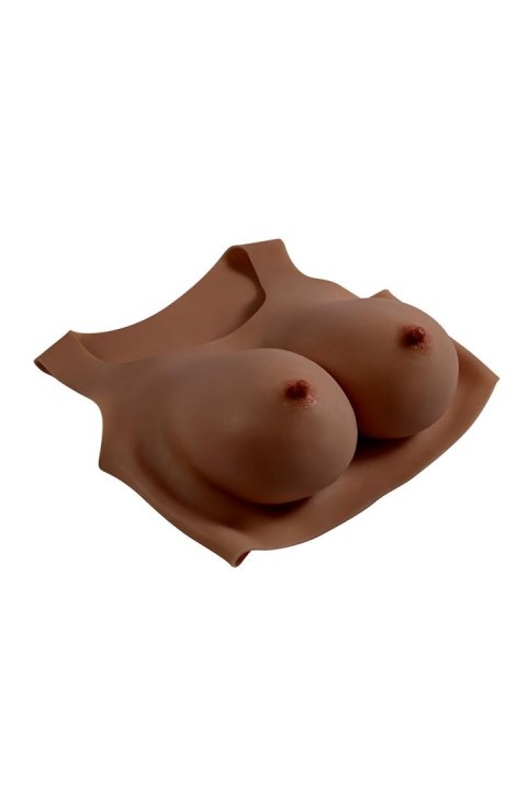 GENDER X UNDERGARMENTS - PLATE E-CUP DARK GENDER X UNDERGARMENTS - PLATE E-CUP DARK