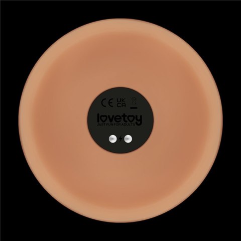 10'' Vibrating Power Basics Cock