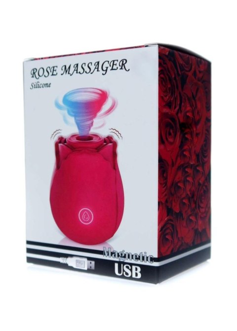 Stymulator-Massager USB 10 function