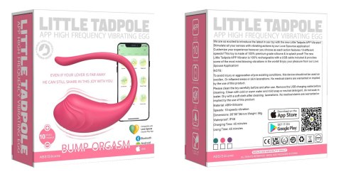 App Love Egg Green
