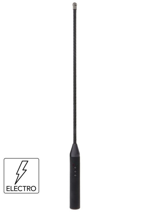 Hidden Desire Extreme Electro Cane