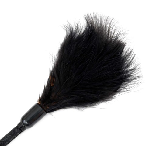 Fetish B-Series Tickler & Whip 3.0