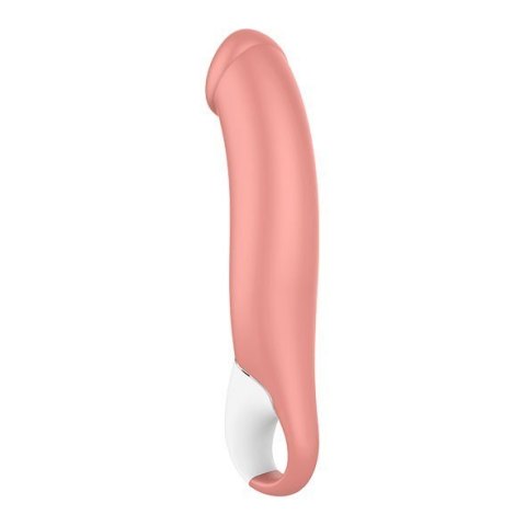 Satisfyer Vibes Master Nature Satisfyer Vibes Master Nature