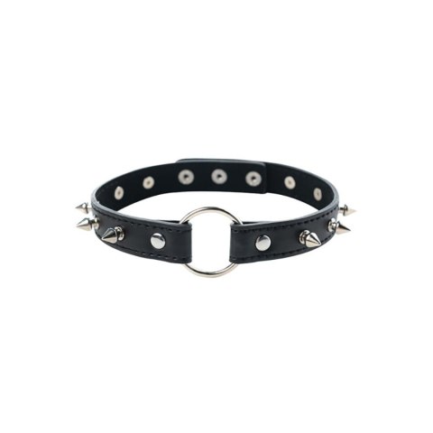 Adjustable collar with spikes