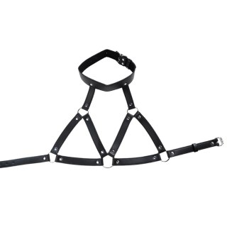 Adjustable neck and chest harness