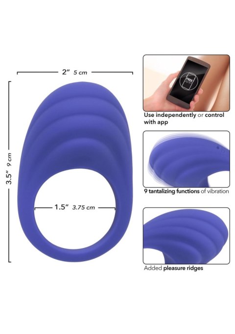 Calex Connect Couples Ring Purple