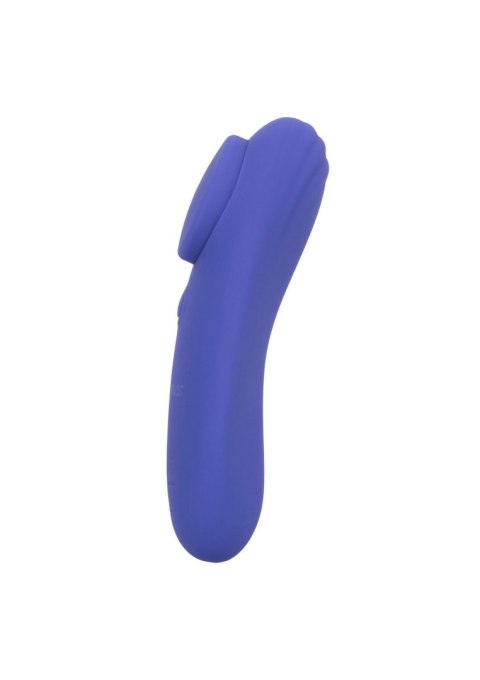 Calex Connect Panty Teaser Purple