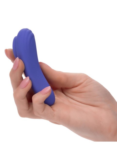 Calex Connect Panty Teaser Purple