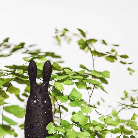 Adrien Lastic Lastic Pocket Vibe - Rabbit-Shaped Mini Vibrator with 10 Vibration Modes