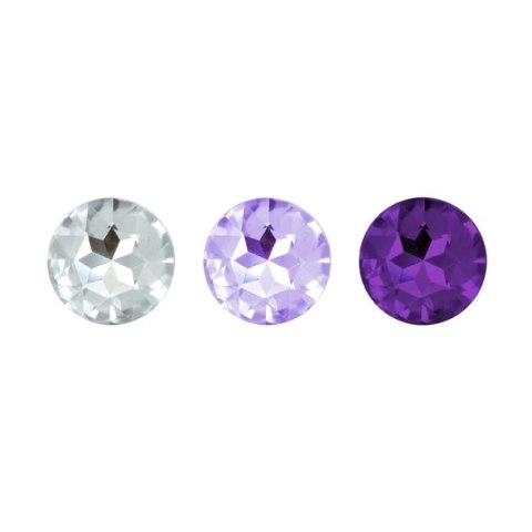 Rianne S - Booty Plug Set 3x Purple