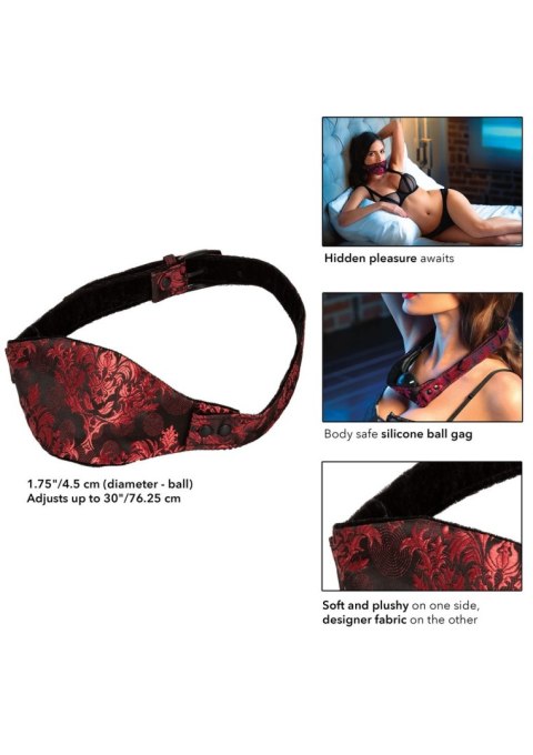 Scandal Hidden Ball Gag